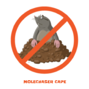 Molechaser Cape