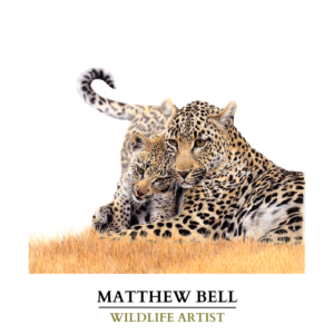 Matthew Bell Art