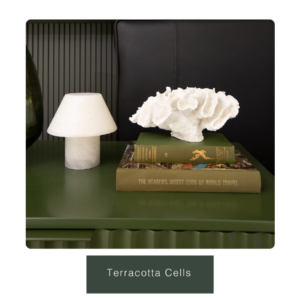 Terracotta Cells