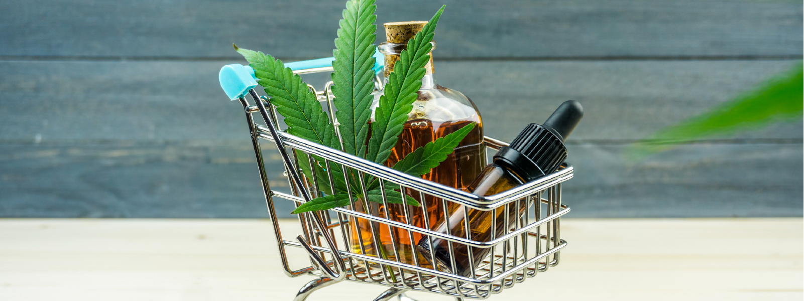 How To Buy CBD Oil in South Africa – Payflex