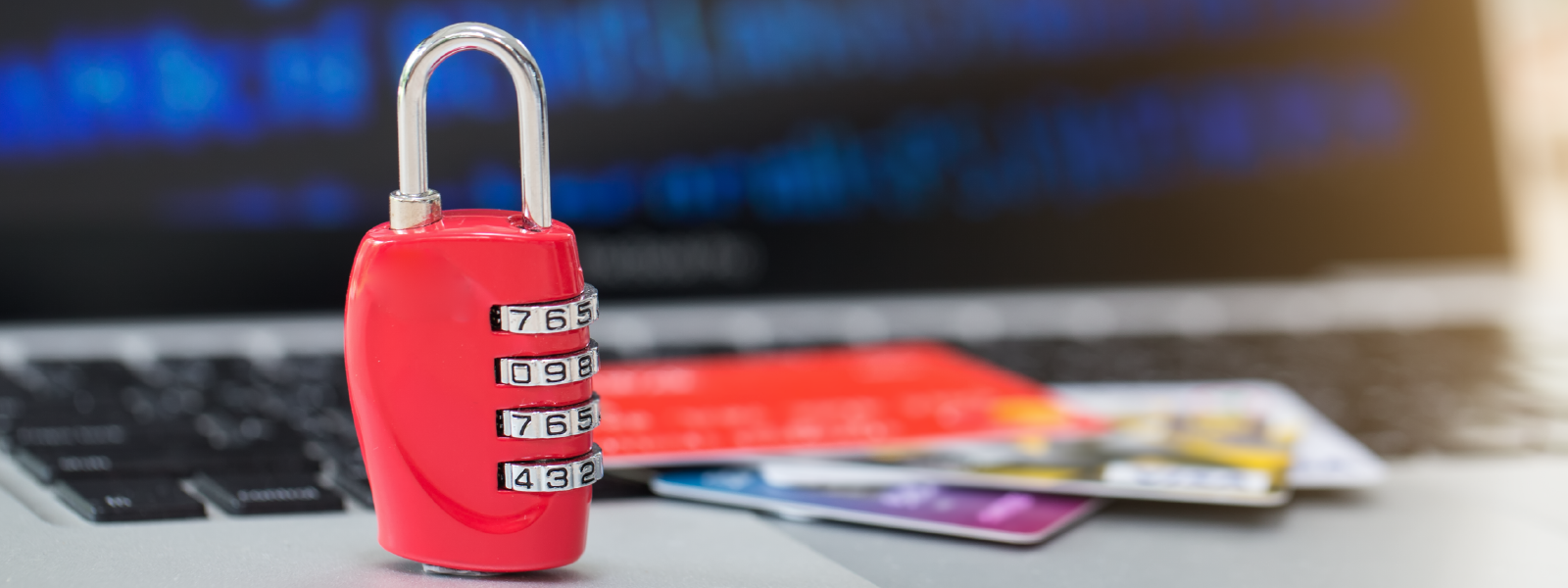 Ecommerce Fraud Prevention: Protect Your Store and Customers | Payflex