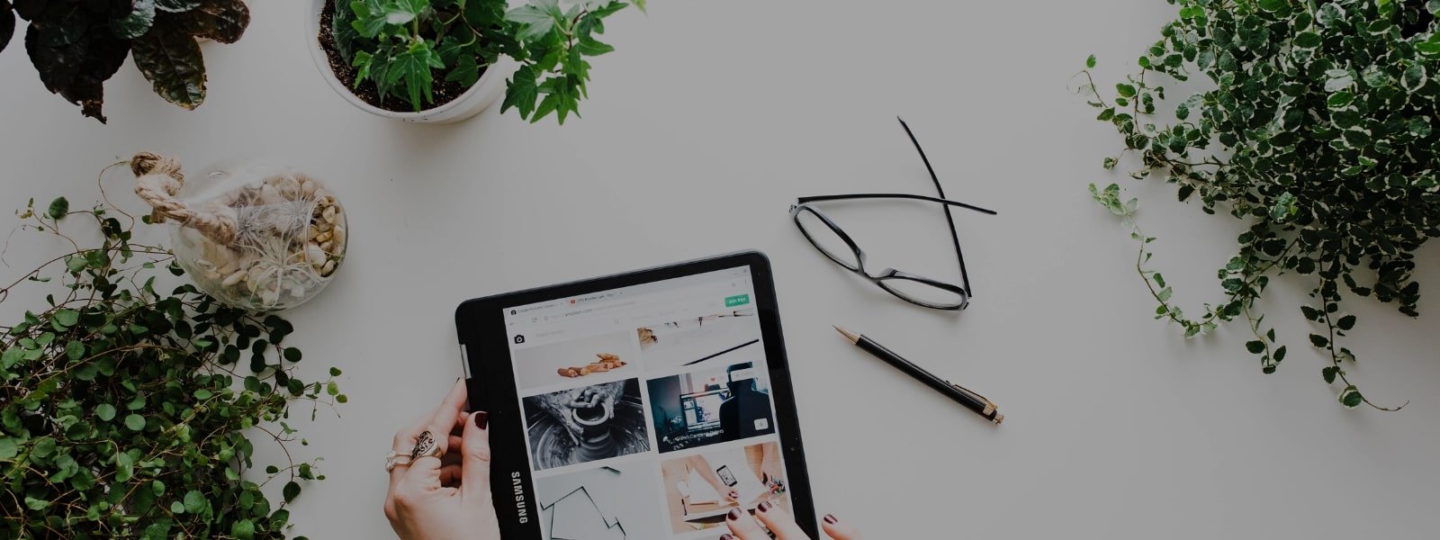 Best Payment Gateway For Shopify | Payflex